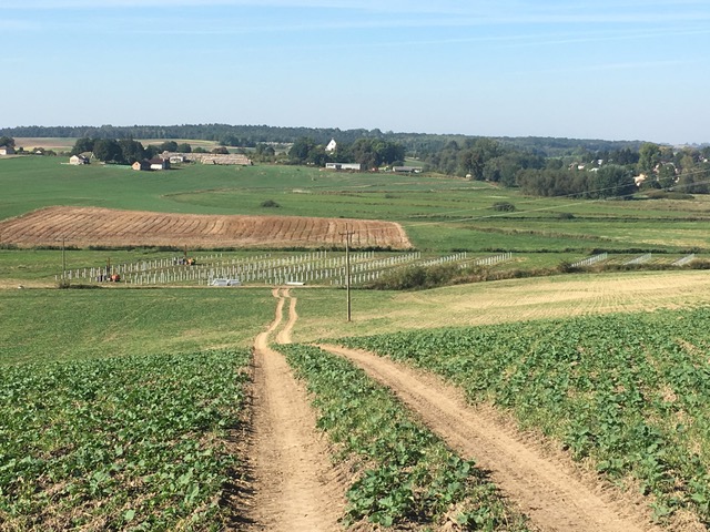Widok na farmę fotowoltaiczną Liwstar w Liwczu – zielone pola i energia słoneczna